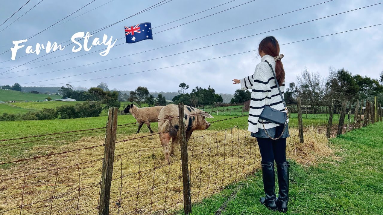 FARM STAY IN TASMANIA, AUSTRALIA | One Of My Best Travel Experiences! Waking Up Next To Mount Roland