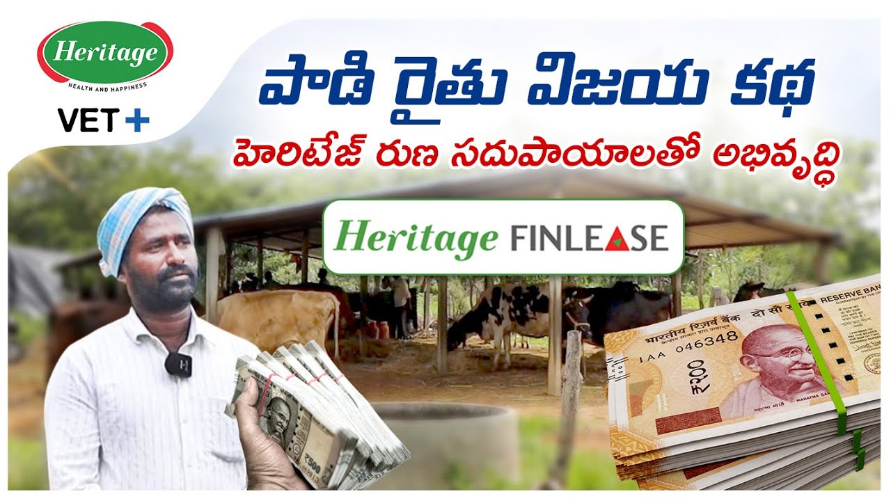 పాడి రైతు విజయ కథ: హెరిటేజ్ రుణ సదుపాయాలతో అభివృద్ధి || Heritage Finlease Loans #heritage #loans