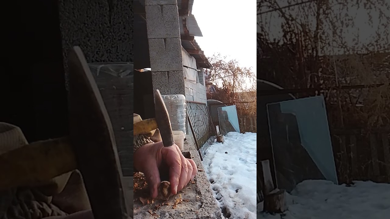 Как колоть орехи без потерь. Жайнак 04.01.2026г