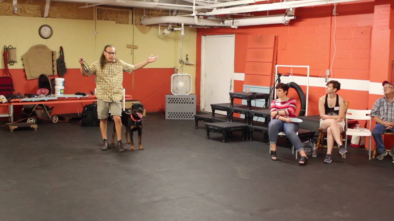 180 move for dog that is always pushing ahead for heeling