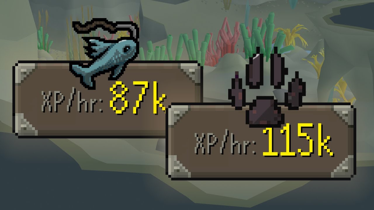 The MOST efficient way to train Hunter & Fishing (Drift Net Fishing Guide)