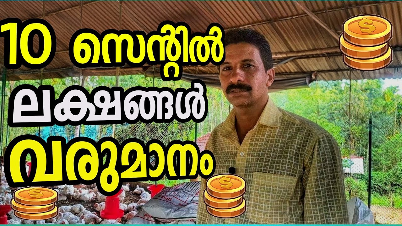 കുറഞ്ഞ സ്ഥലത്ത് ഒരു ബ്രോയിലർ ഫാം; മികച്ച വരുമാനം നേടാൻ ചില പ്രായോഗിക വഴികൾ/ Broiler farm 