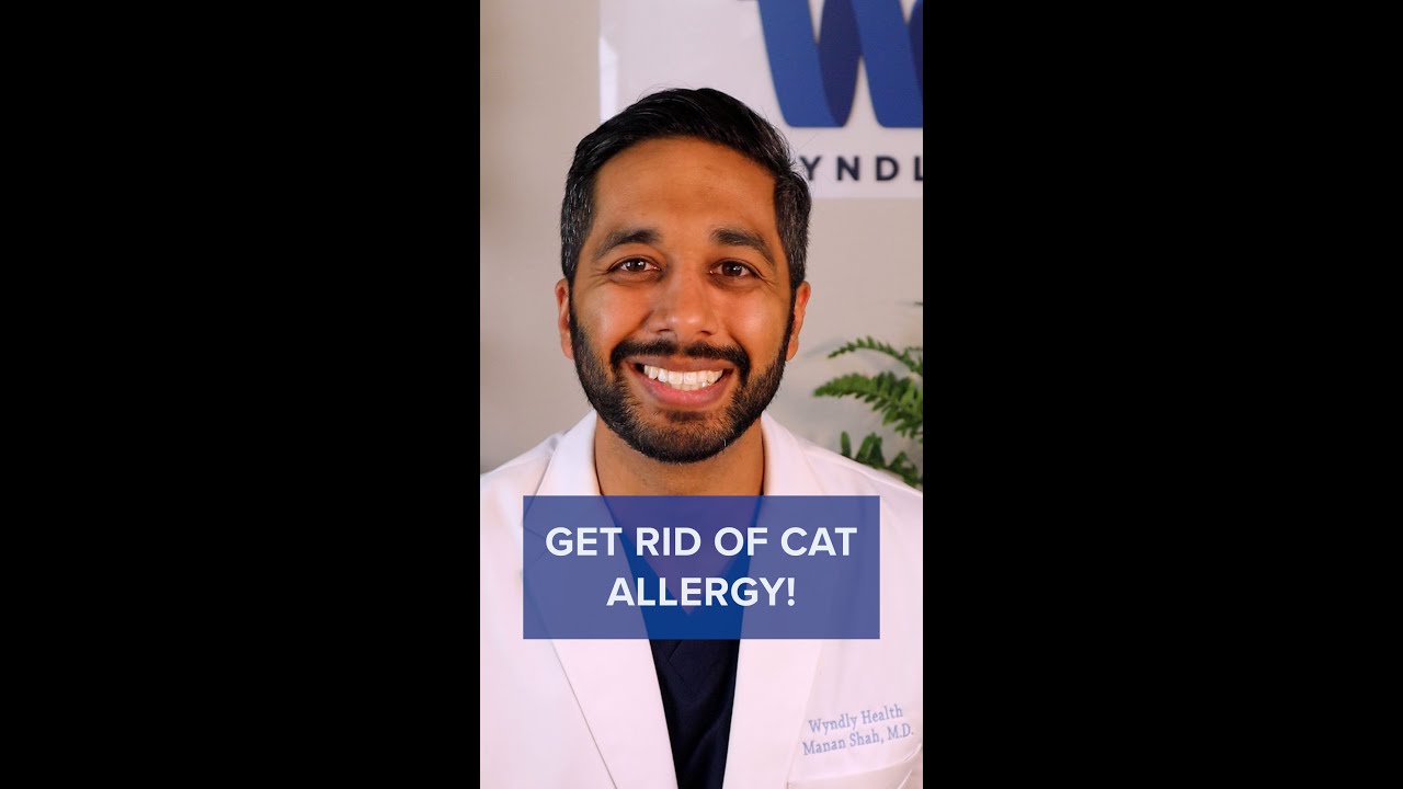 How to Get Rid of Cat Allergies Naturally