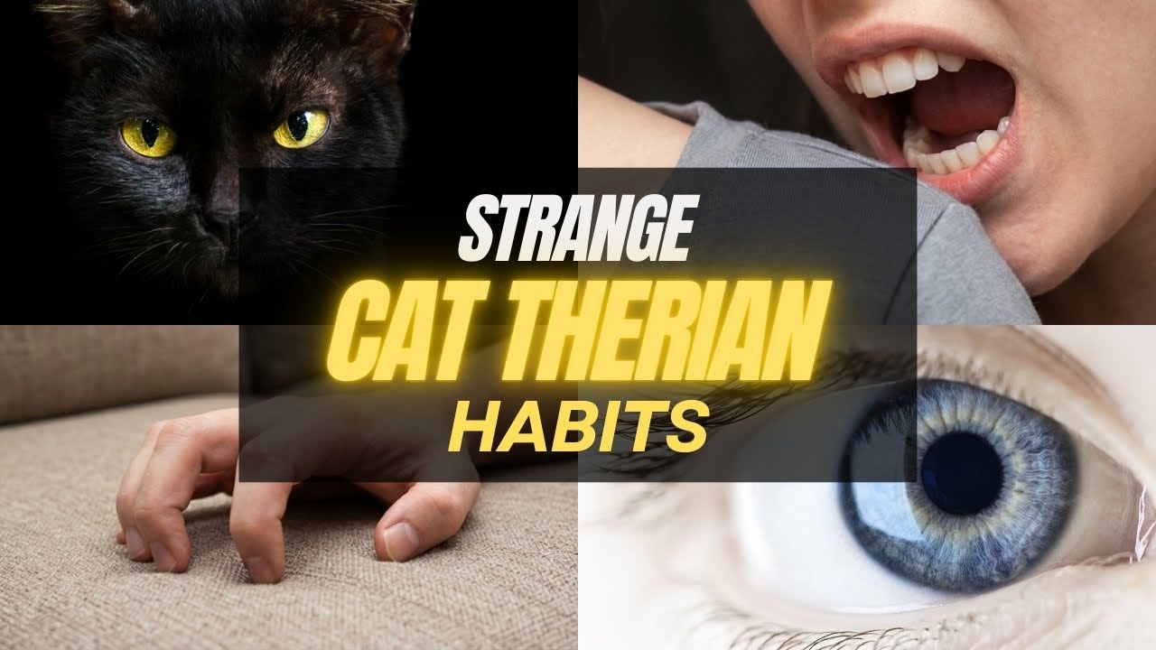 7 странных привычек каждого кота-териана (которые пугают людей)