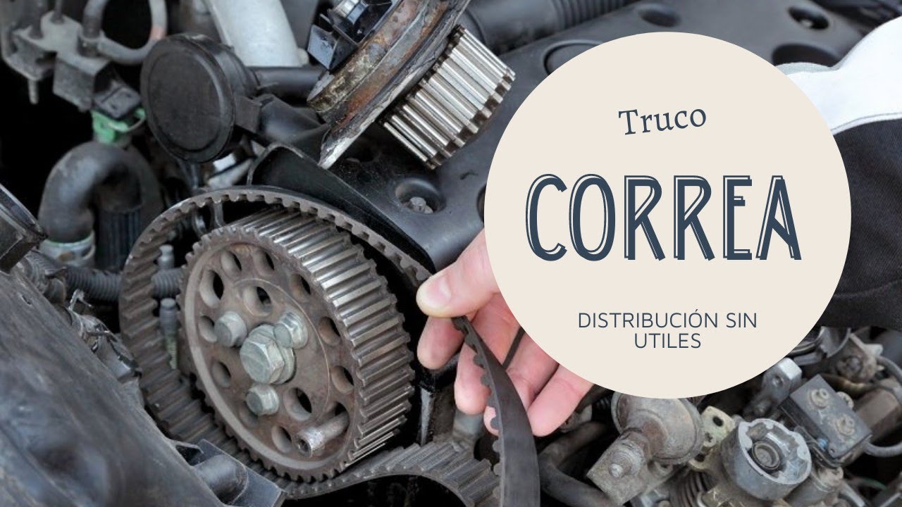 como cambiar correa distribucion seat ibiza 6L 1.4 tdi sin herramientas especiales