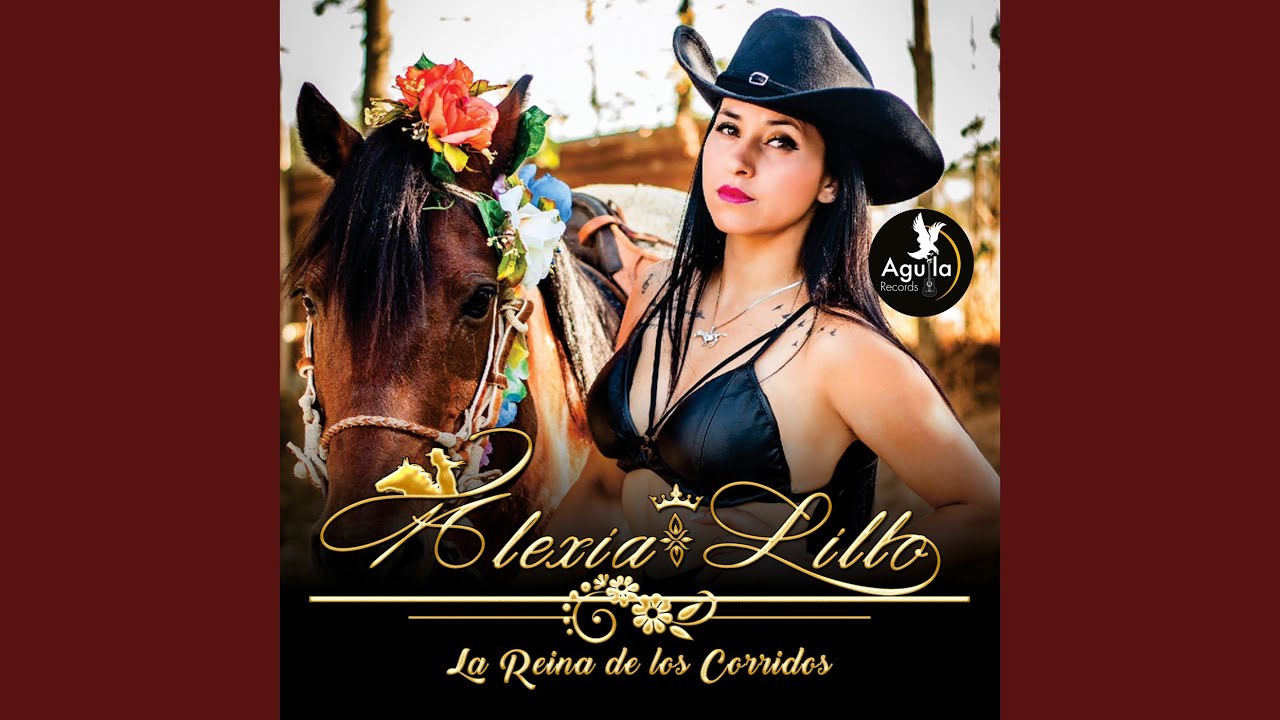 Mi Amigo el Tordillo