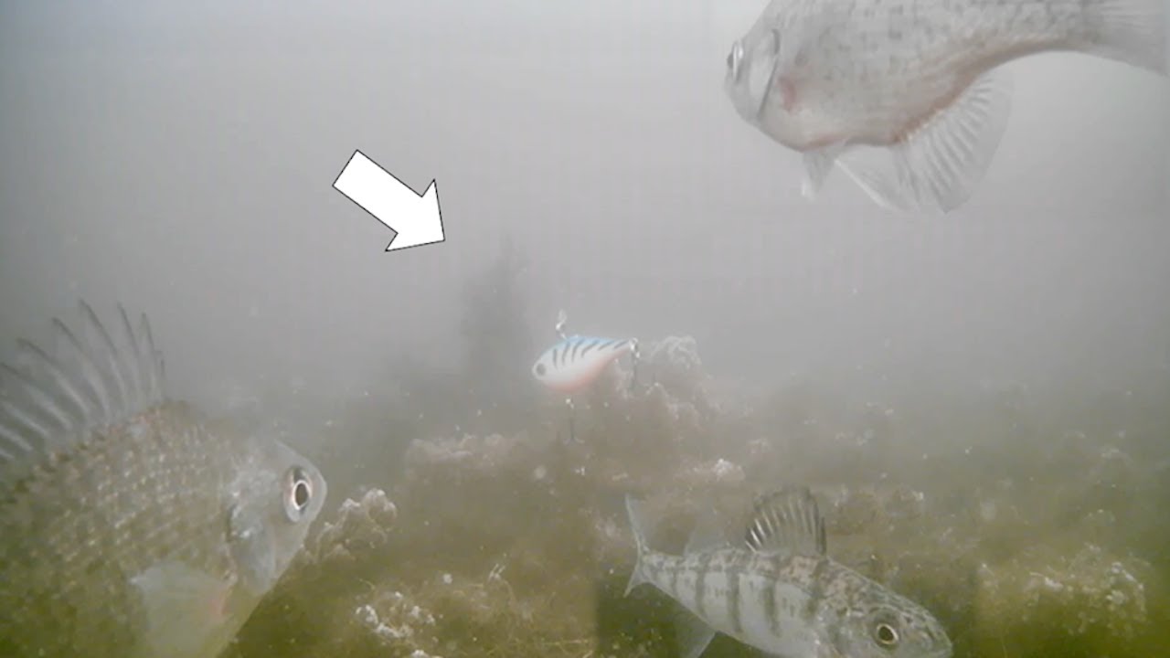 BIG PIKE Crushes RATTLE BAIT! Ice Fishing 2024