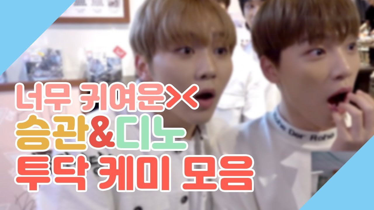 [세븐틴/ 승관/ 디노] 너무 귀여운 승관, 디노 투닥 케미 모음