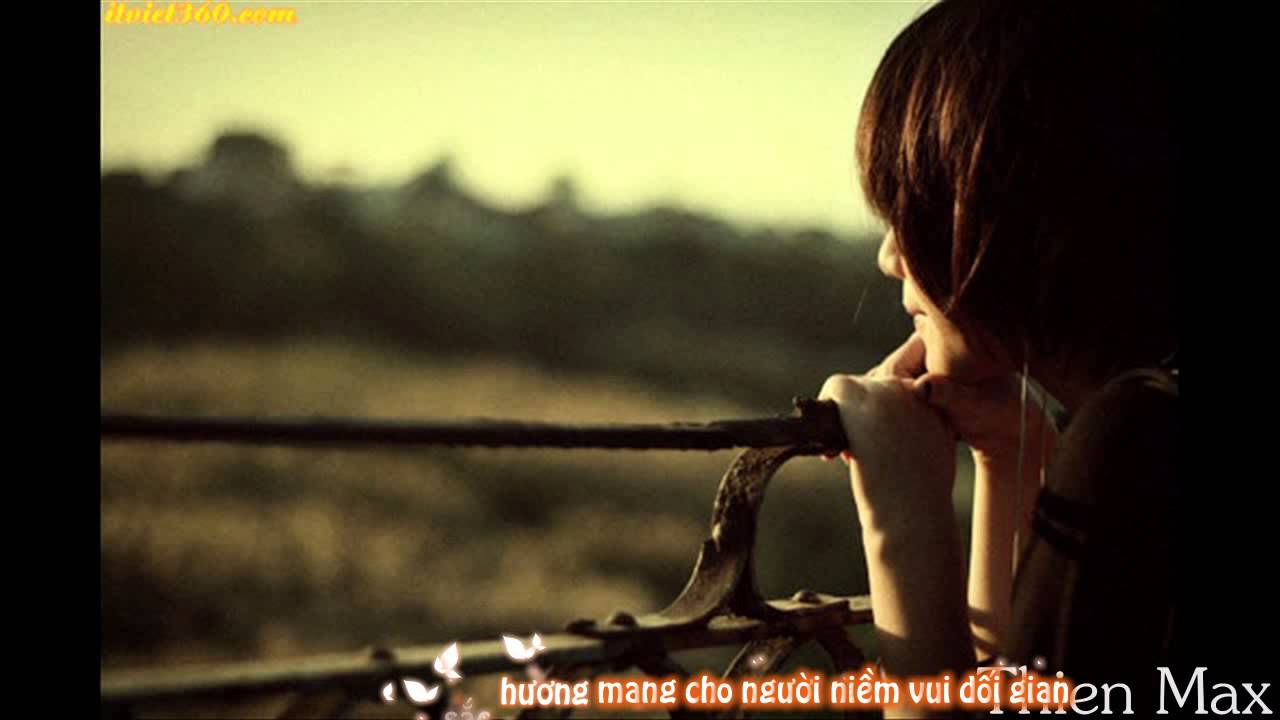 Tầm Gửi - Ho&agrave;ng L&ecirc; Vi