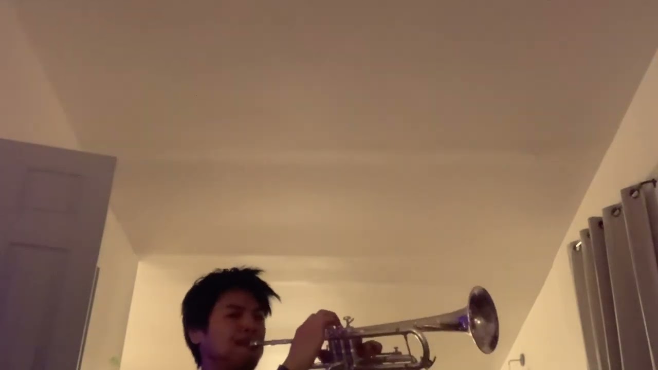 Trumpet Practicing Matt Maeson Ft. LDR