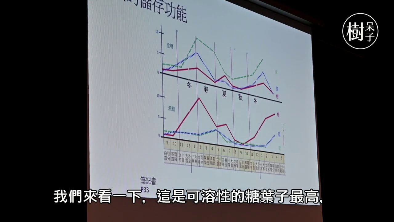 【樹呆子小學堂】為什麼樹木的中根很重要?