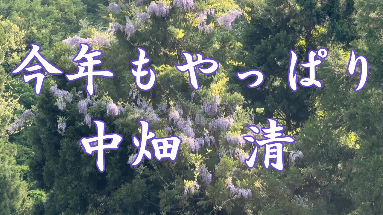 (山菜採り）2023 5 16今年もやっぱり中畑 清　　　（わらび）