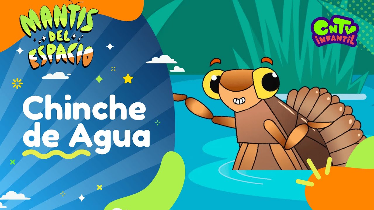 Chinche de Agua - Mantis del espacio