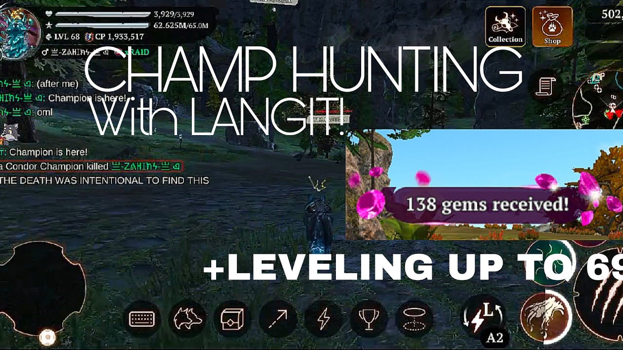 The wolf - Champion hunting with ʟᴀɴɢɪᴛ and leveling up to 69!||