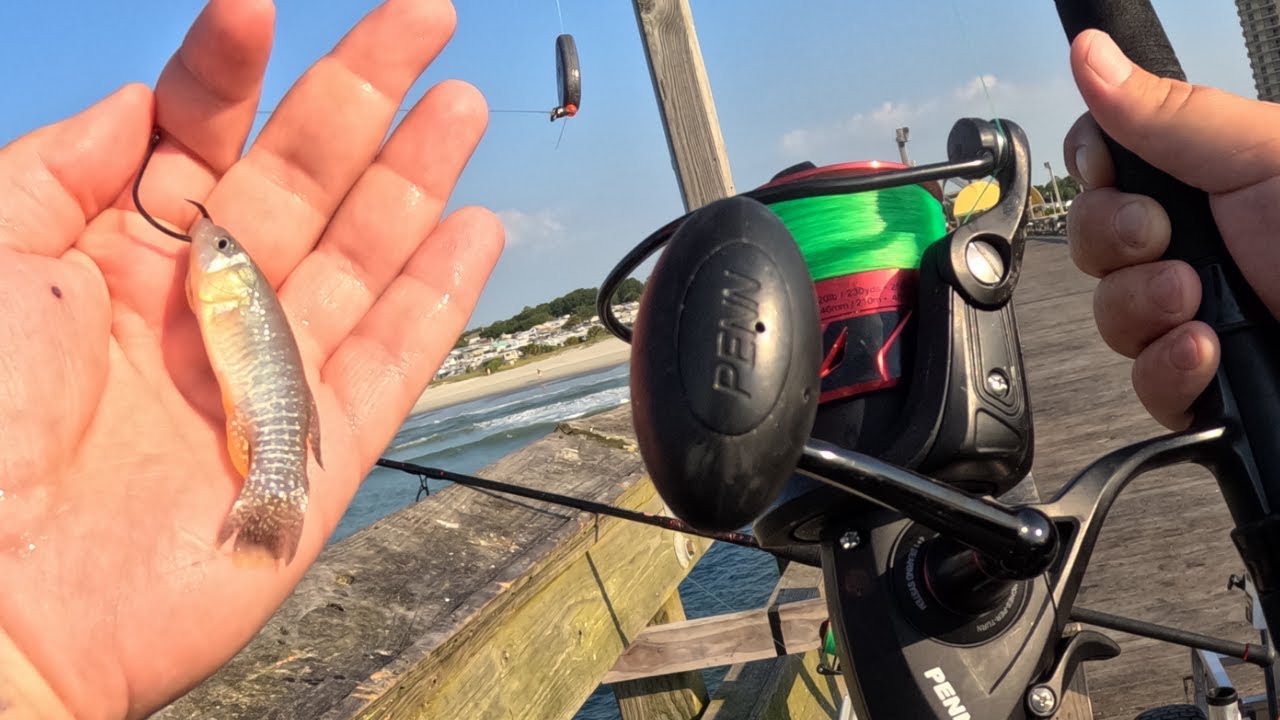 fishing on apache pier in myrtle beach!