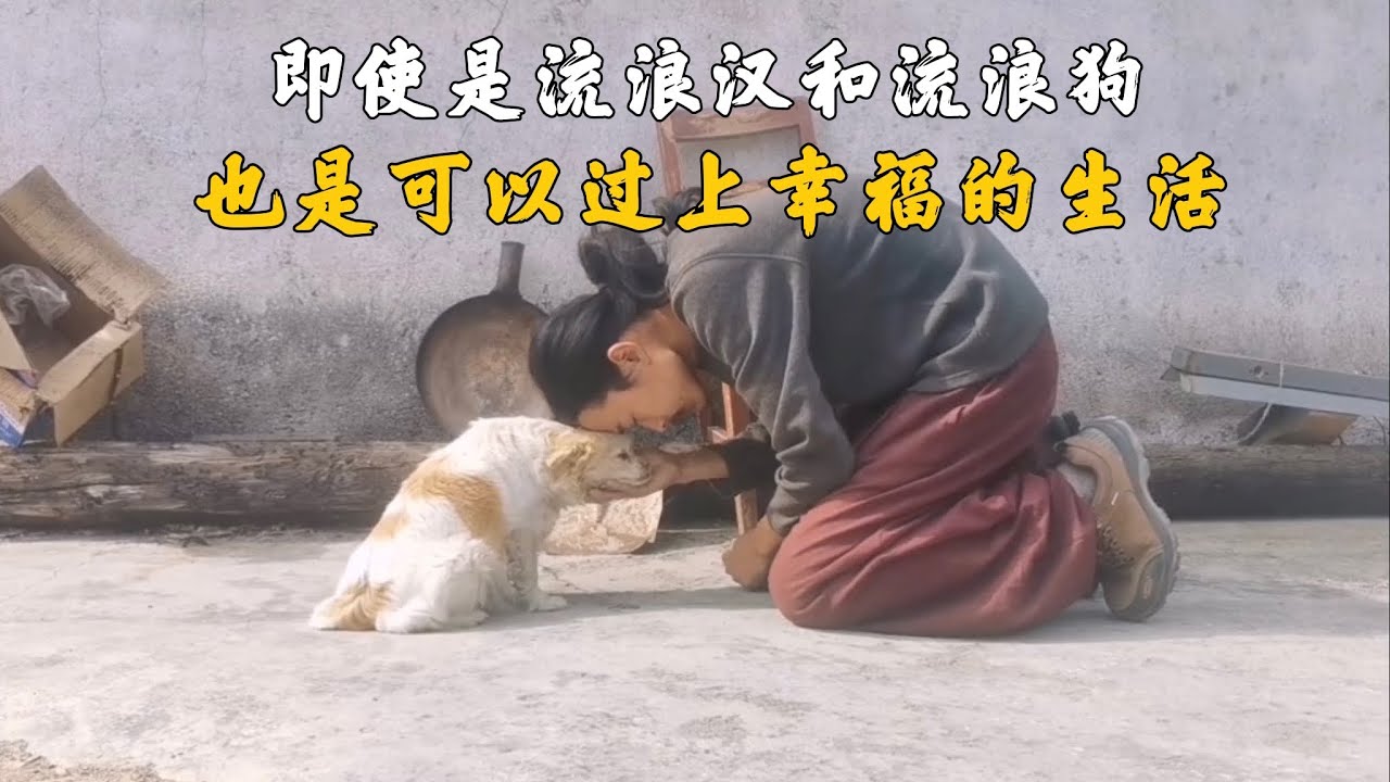 生活是美好的，即使是流浪汉和流浪狗，也是可以过上幸福的生活  #樂浪星 #流浪生活 #dog rescue #rescue dogs