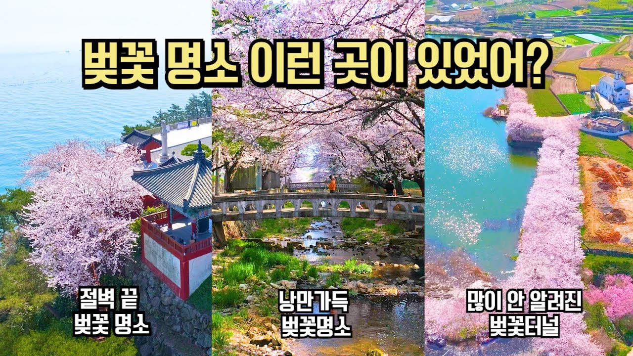 벚꽃 명소 올해는 미리 계획해야 합니다 국내 여행 추천 BEST 9 #국내여행 #여행추천