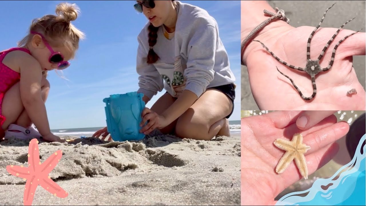 Our Beach Trip! | Vacation Vlog | Road Trip To The Coast