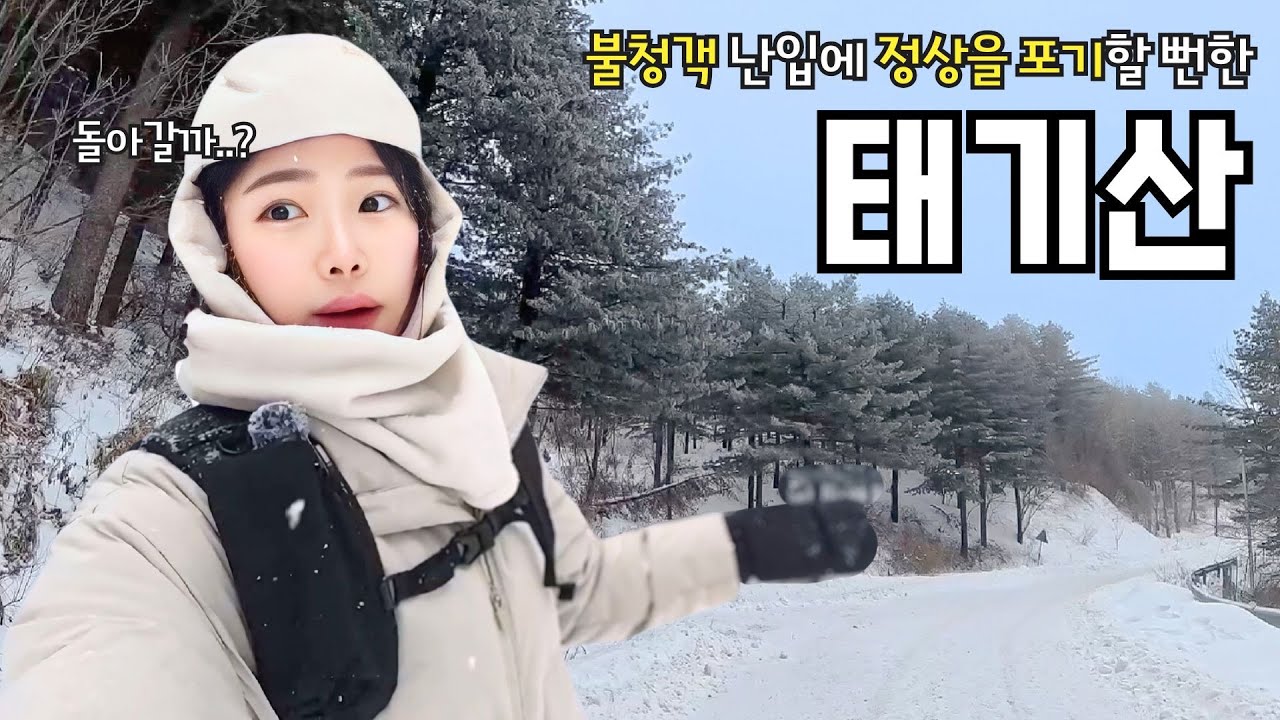 초보도 충분한 겨울등산 입문 태기산 ⛰️ㅣ 정상을 방해하는 불청객 등장..😨