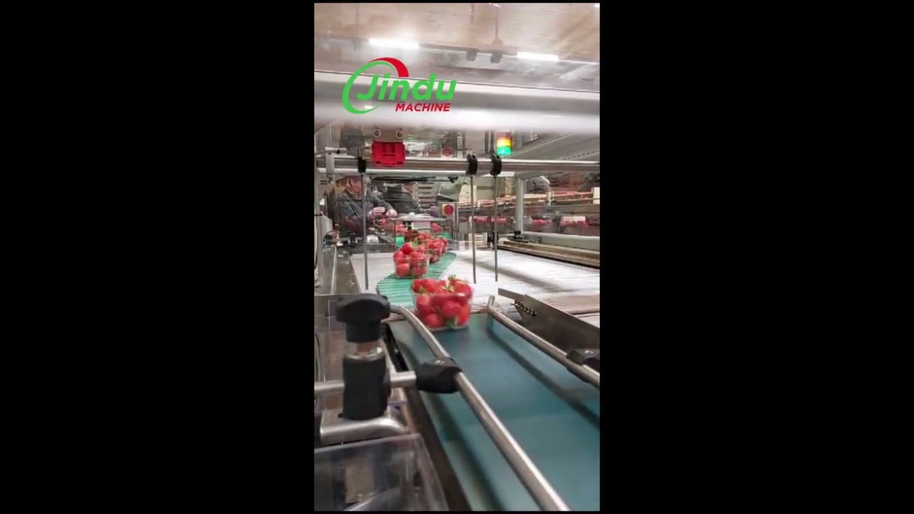 I Tested Tomato Plum Mango Dragon Fruit and Orange Sorting Machines Here's What's Best!