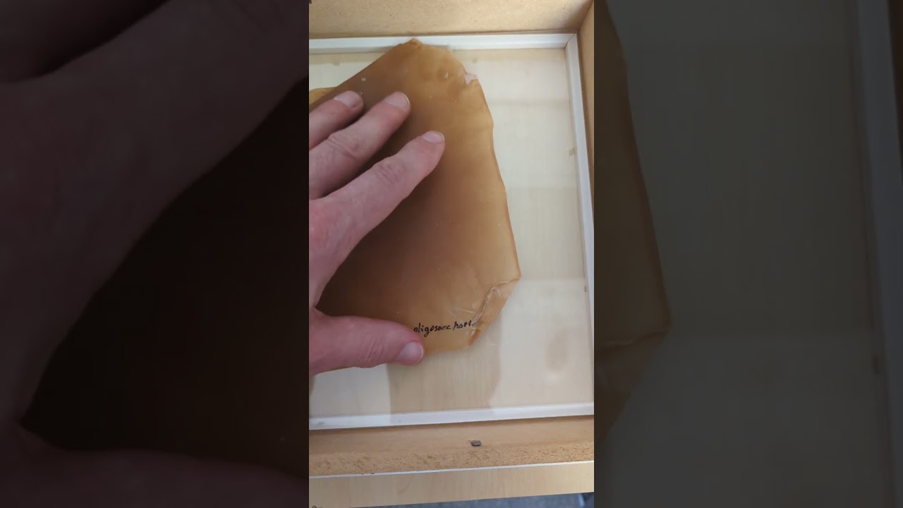 A plastic sheet made using chitin oligosaccharides.  #polymer  #sustainablemanufacturing #chitin