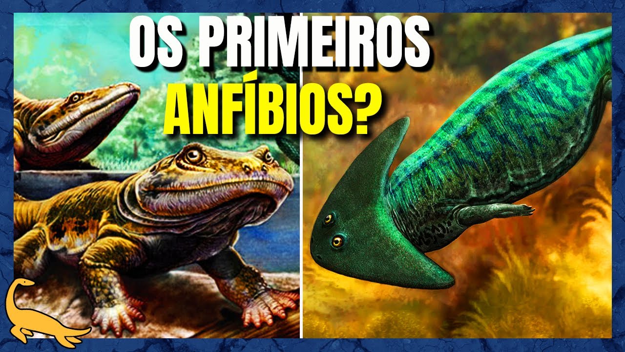 ORIGEM e EVOLUÇÃO dos ANFÍBIOS (Parte 1)