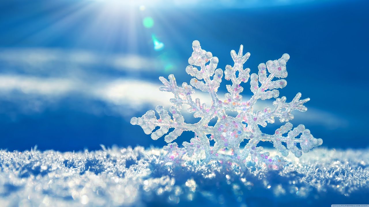 Snowflake Introduction Unveiling the Future of Data Management
