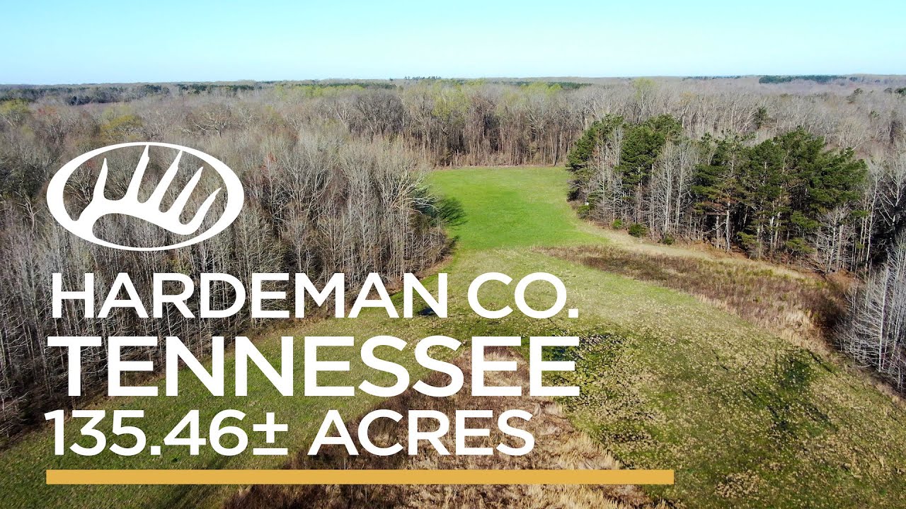 Hardeman County, TN 135.46± acres