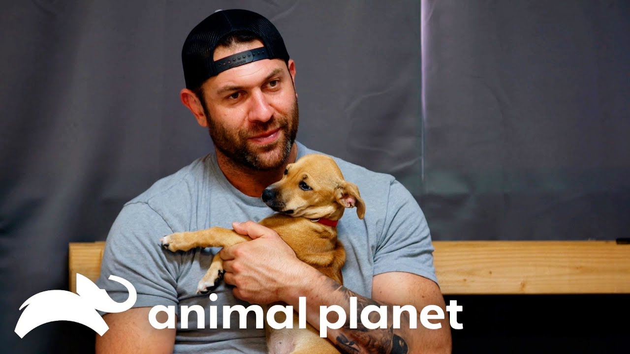 Lee Asher Fosters a New Puppy! | My Pack Life | Animal Planet