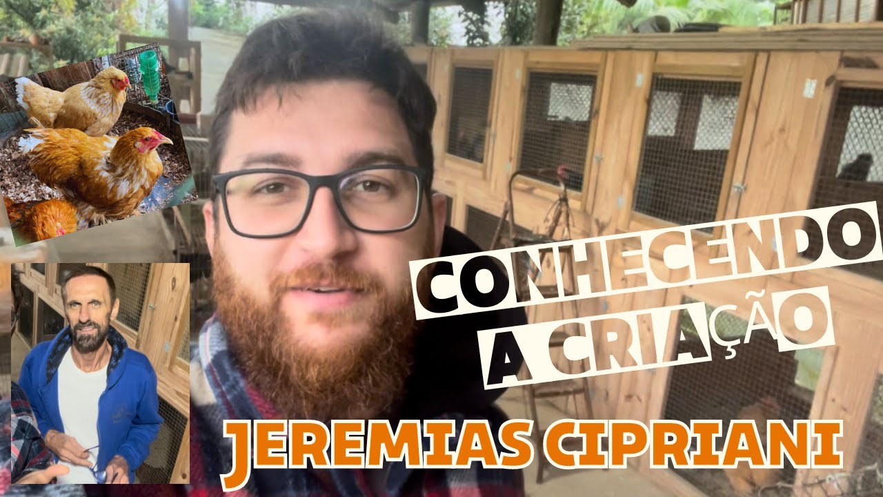 Visitando a Criação de Aves ornamentais de Jeremias Cipriani e Buscando aves de nova raça!