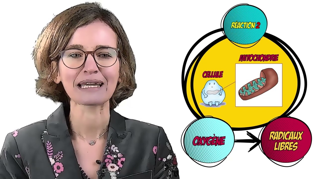 Pollution de l'air _ Épisode 4 _ Les Anti Oxydants