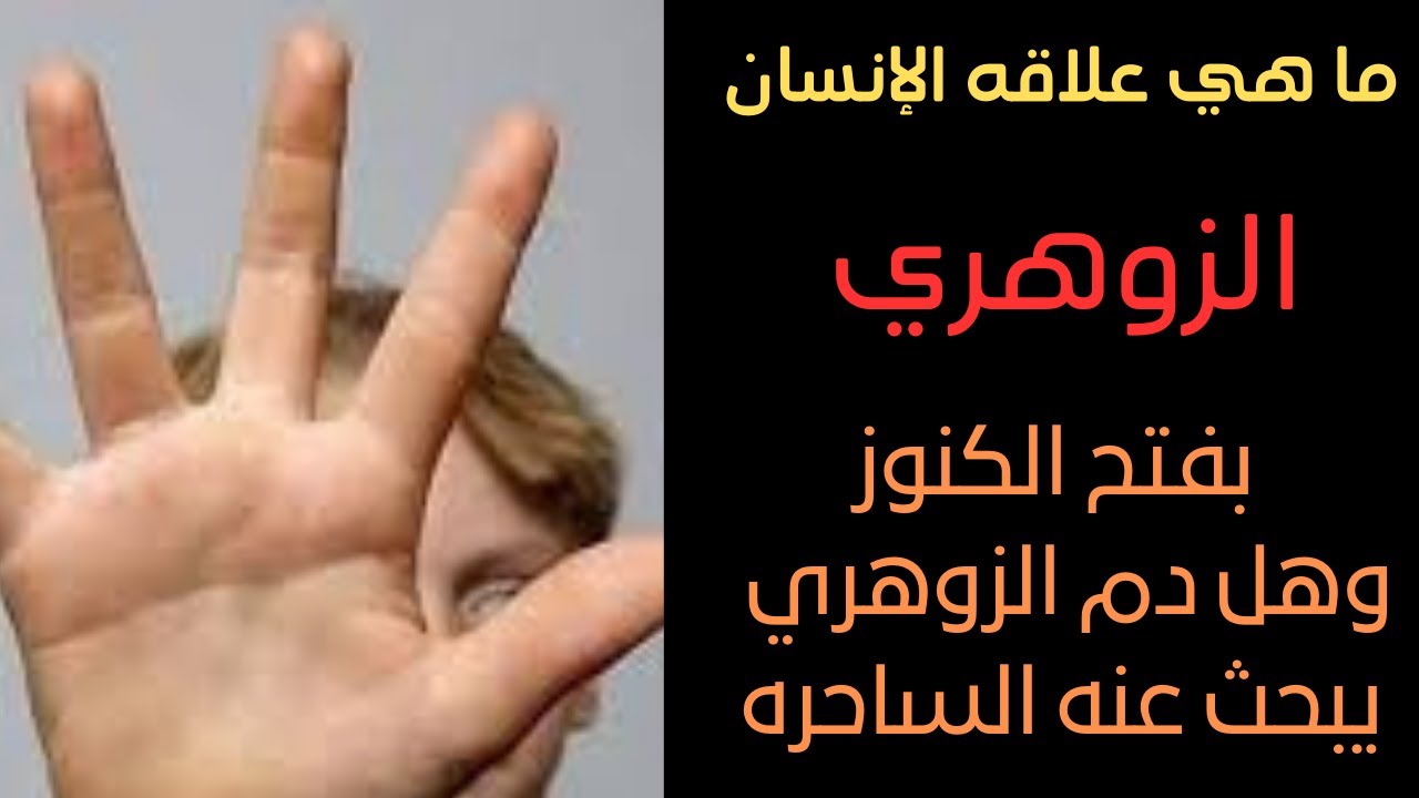 ما هي علاقه الإنسان الزوهري بفتح الكنوز وهل دم الزوهري يبحث عنه الساحره