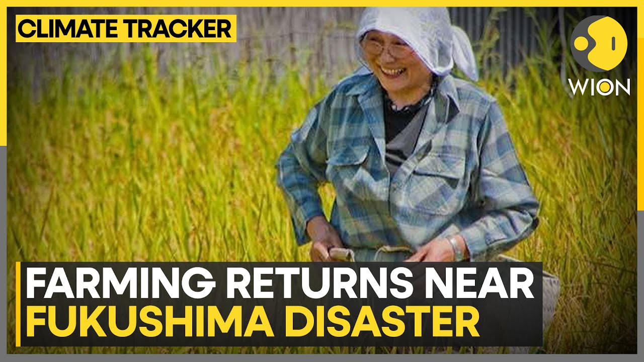 Young Farmer Revives Fukushima&rsquo;s No-Go Zone With Kiwi Farming Effort | WION Climate Tracker