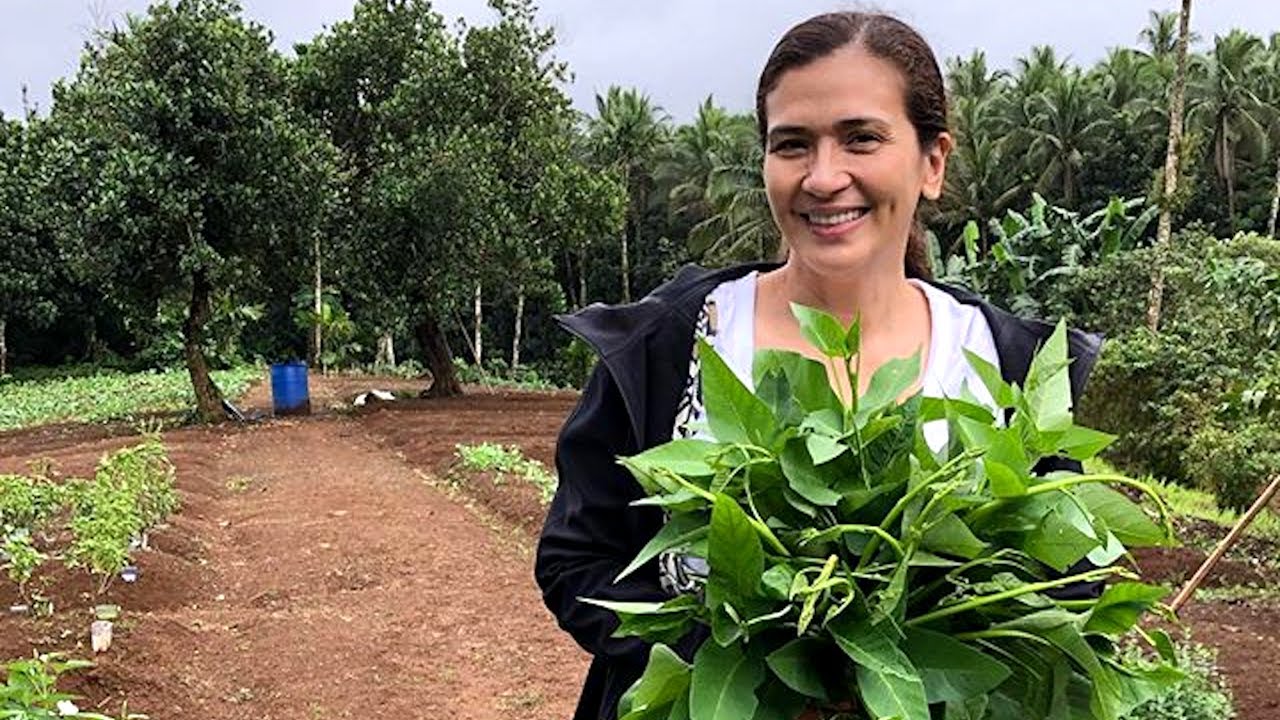 Mga artista na may farm o hacienda!