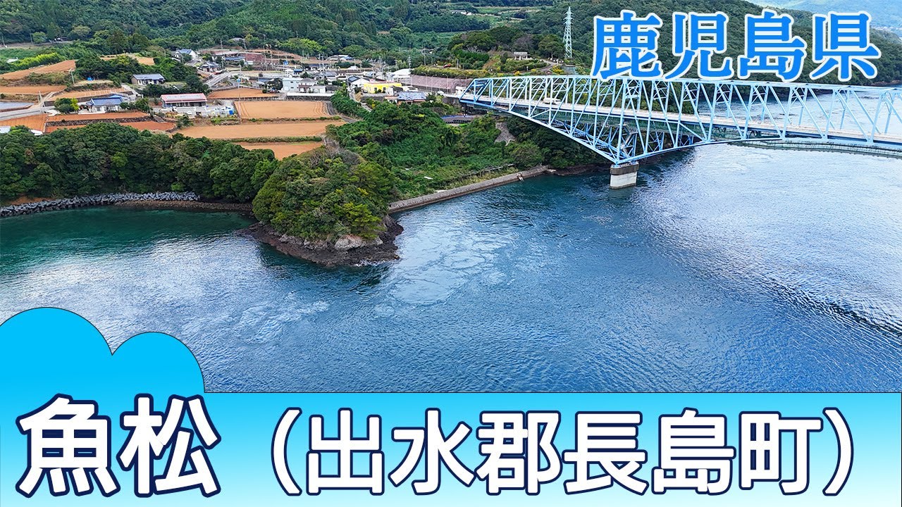 絶対人気のイシダイ！ハタ類やクロなども大型に期待！魚松