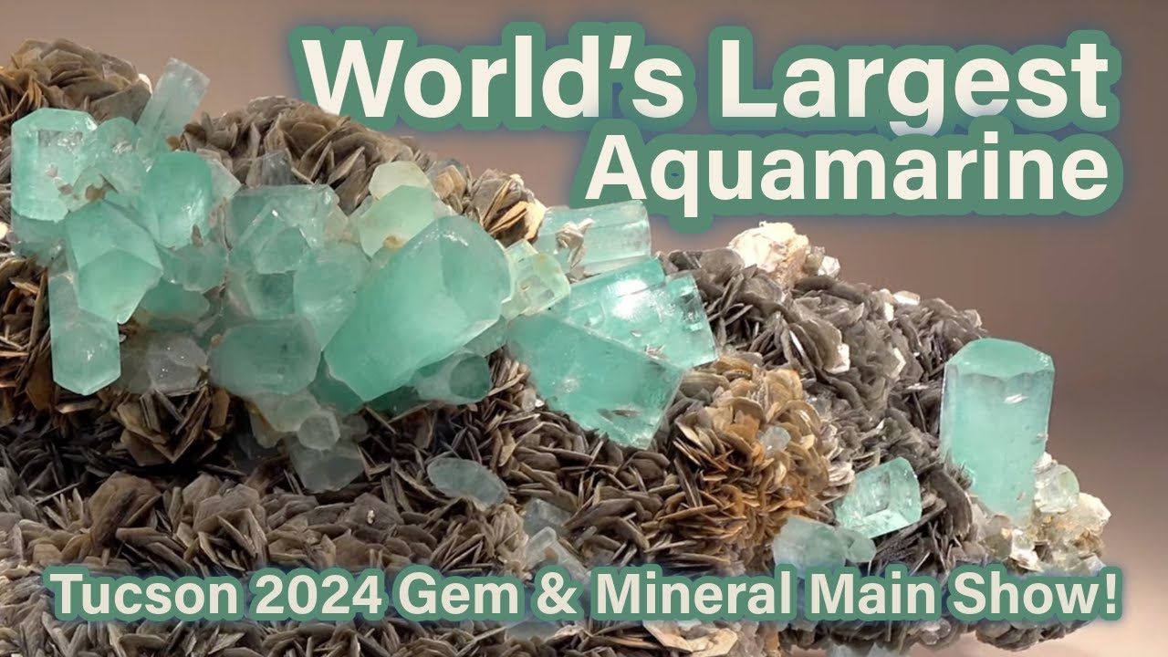 The BIGGEST Aquamarine Specimen in the WORLD?! Tucson 2024 Gem & Mineral Main Show! 69th TGMS! 4K