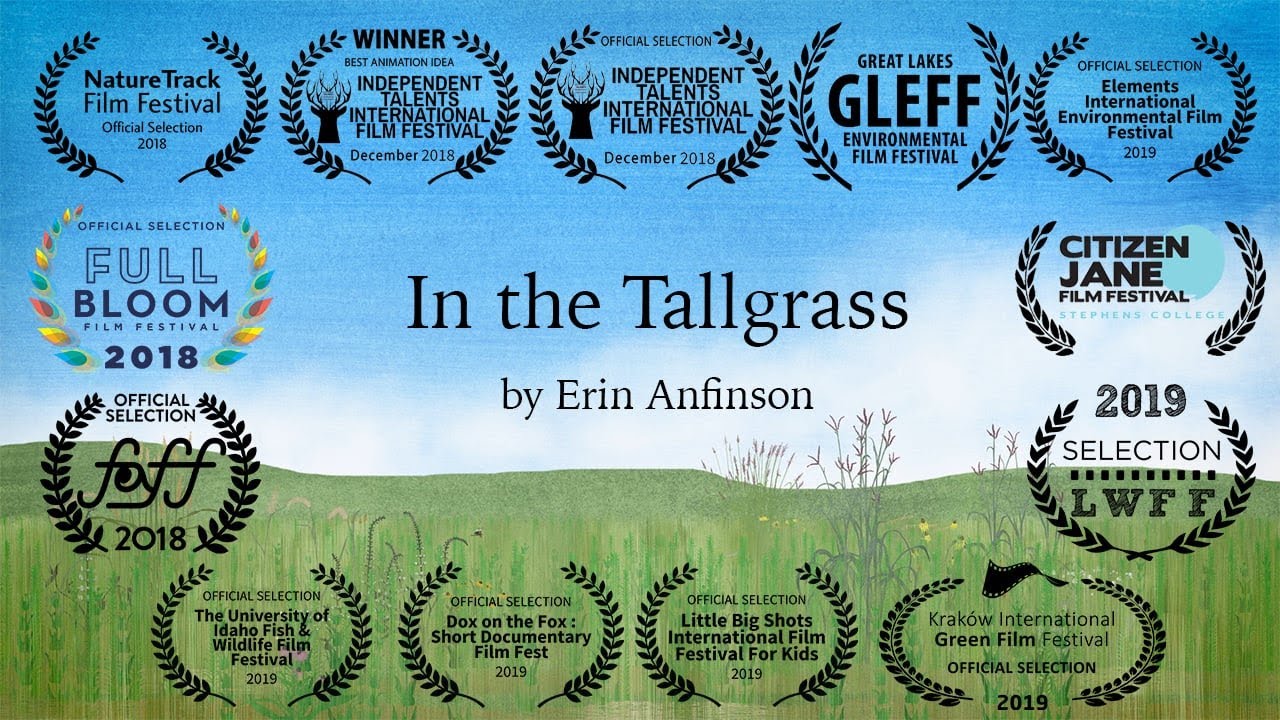 In the Tallgrass | Award Winning Short Animated Film | Sinema Indie