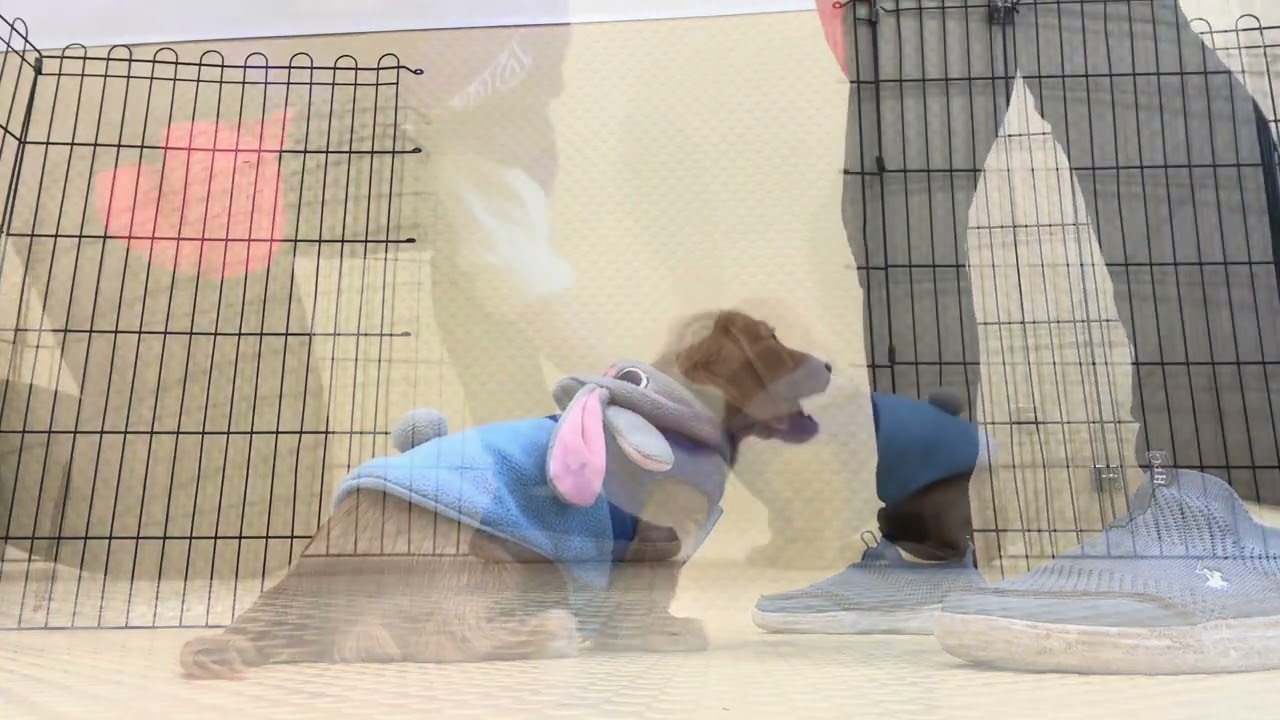 2026.02.18 トレーニングの様子