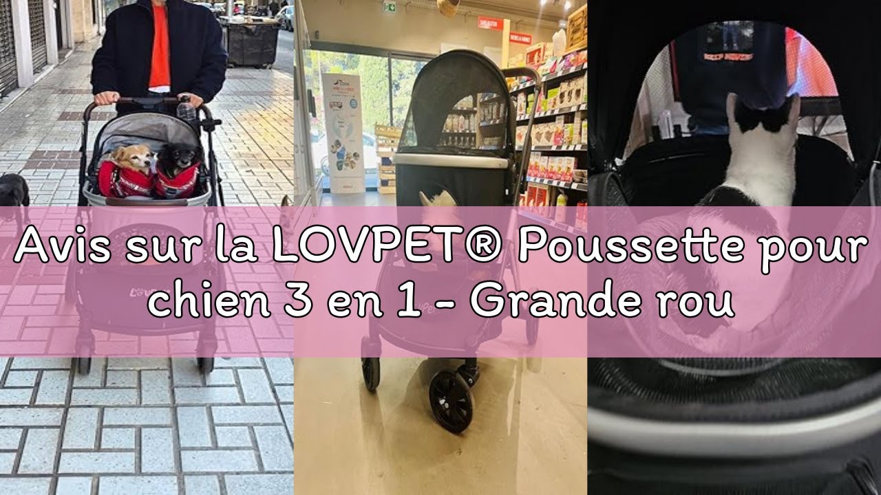 Avis sur la LOVPET® Poussette pour chien 3 en 1 - Grande roue pliable - Pliable à 360° - Avec fenêtr