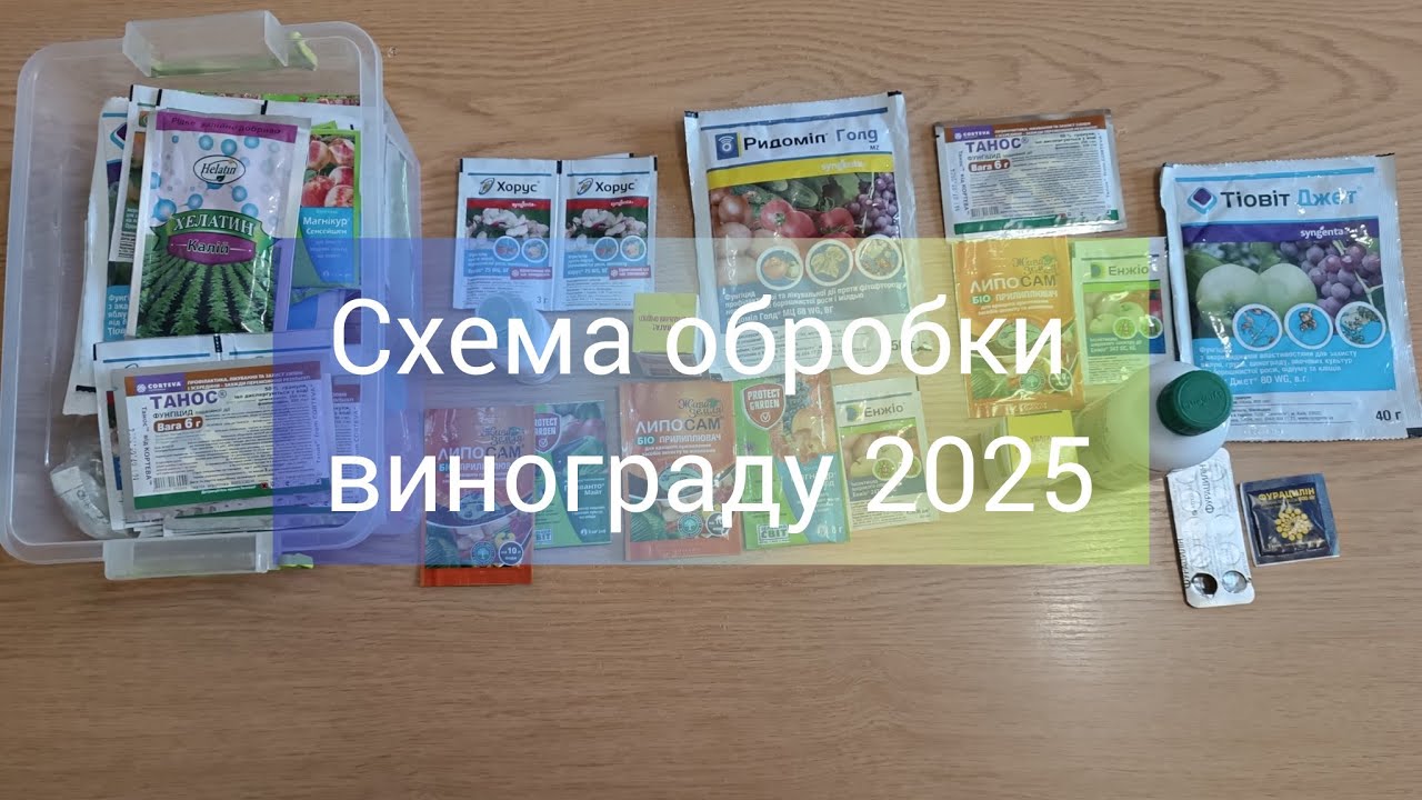 Схема обробки винограду на 2025 рік.