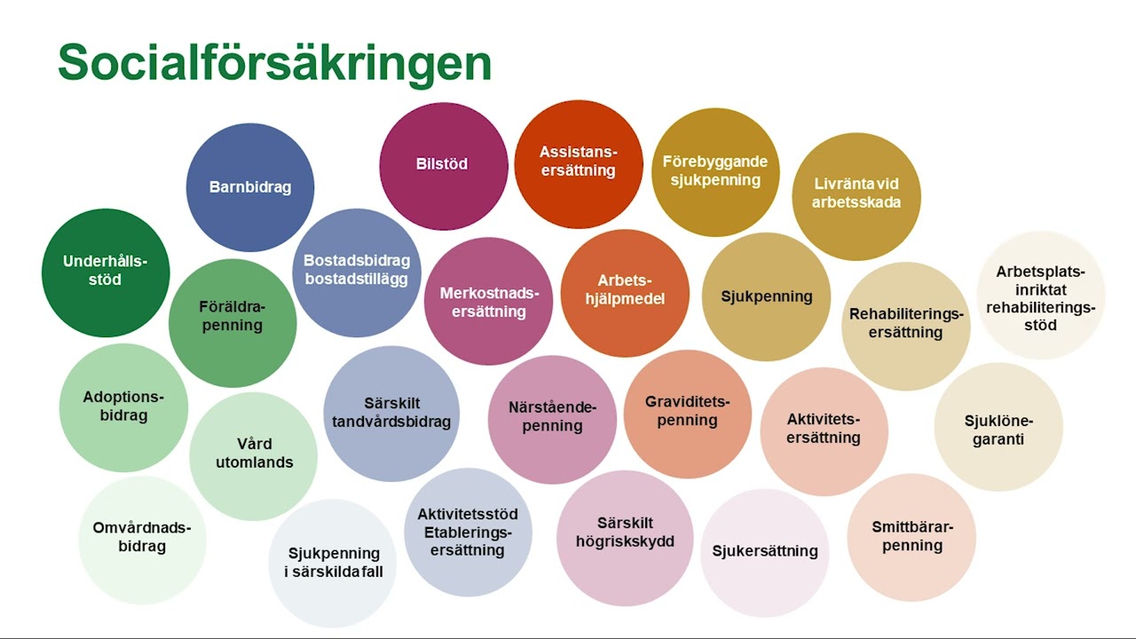 Vad gör Försäkringskassan?