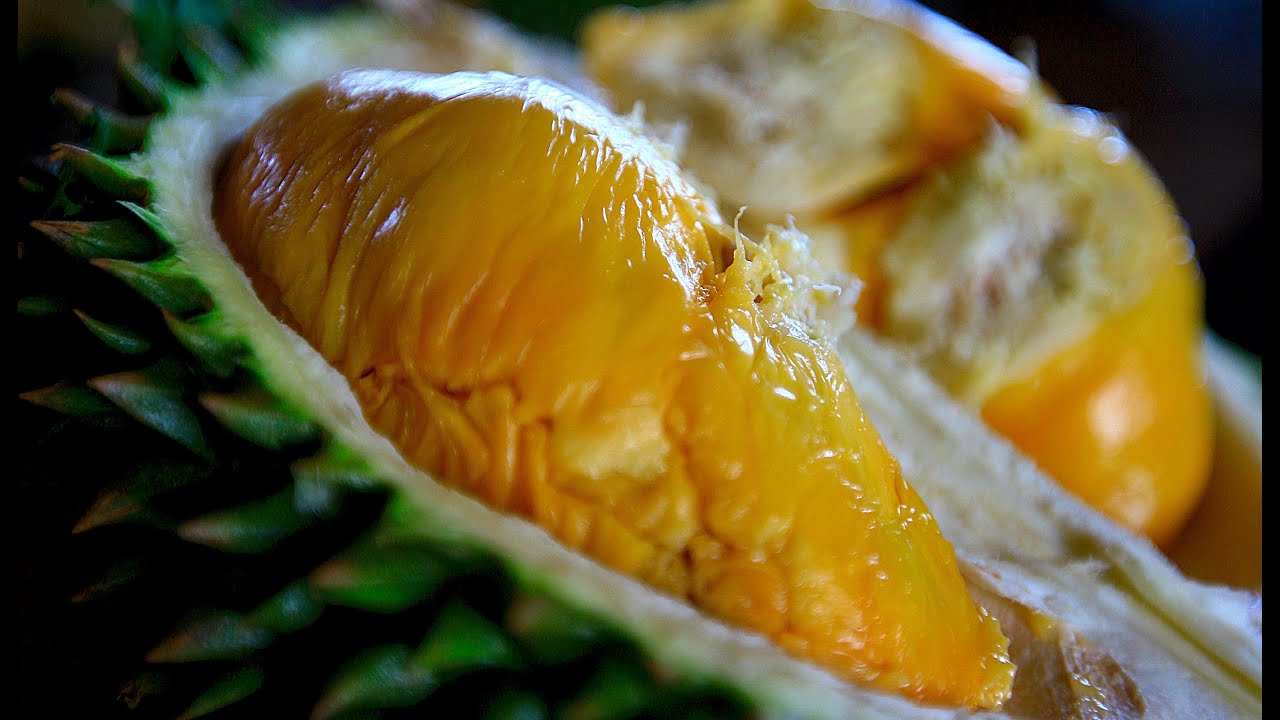 Bao Sheng Durian Farm durian tasting deluxe 100 year old durian