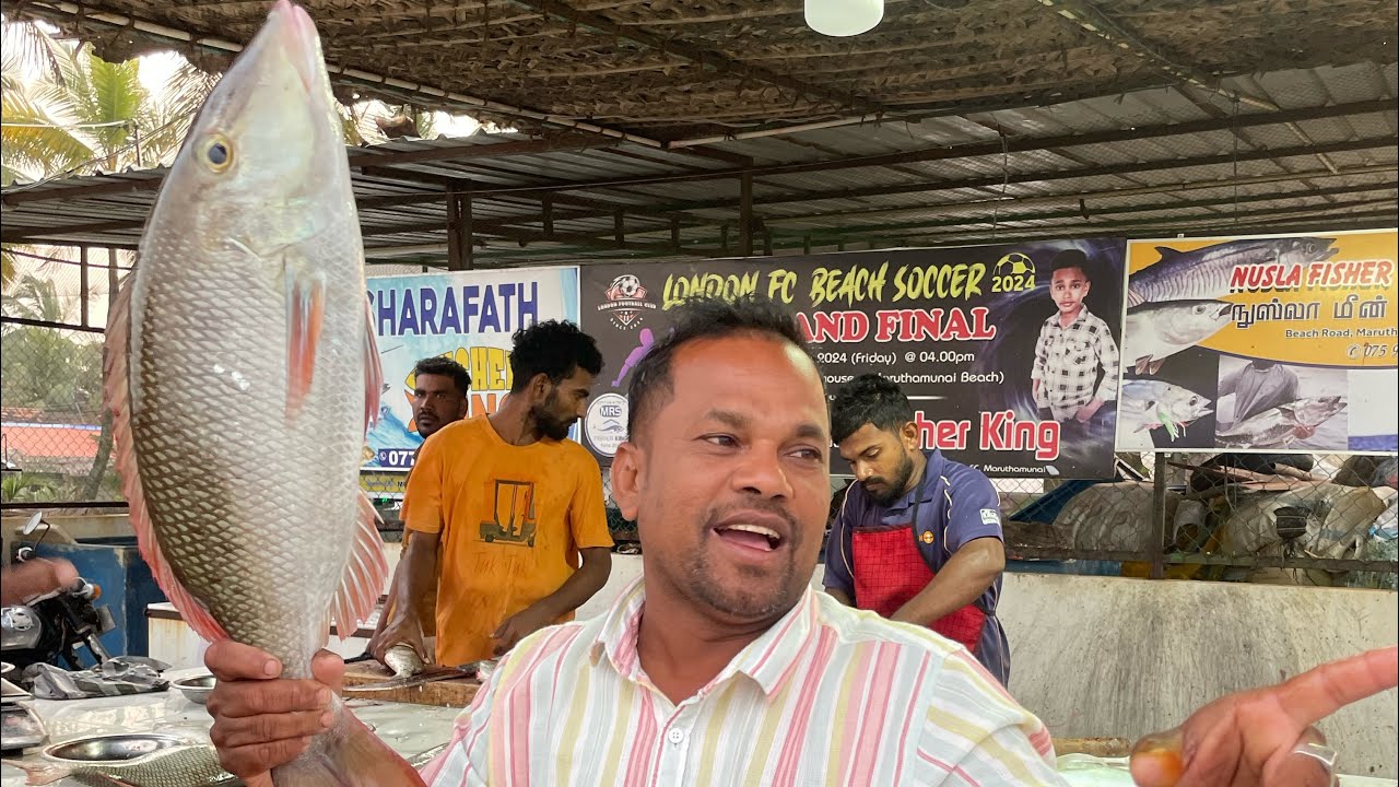 MARUTHAMUNAI BEACH FISH MARKET 🇱🇰