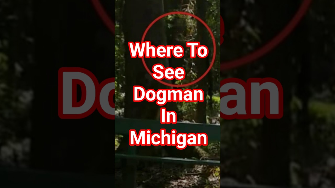 Where To See Dogman In Michigan, Dogman Triangle #dogman #michigan #cryptid #Michigandogman