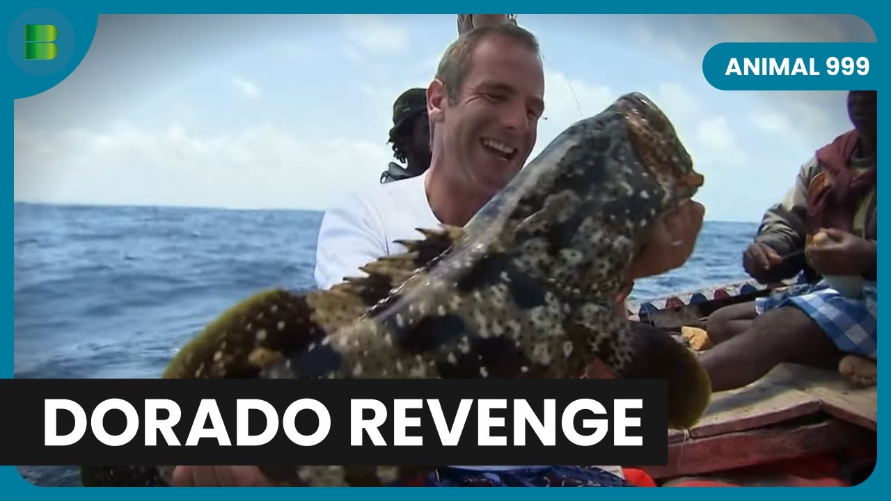 Extreme Fishing Kenya Dorado Redemption Fight | Extreme Fishing | Banijay Wild