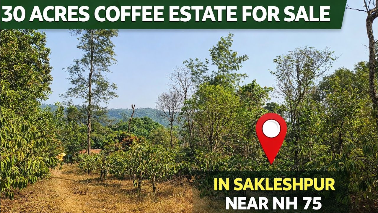 30 Acres Coffee Estate for Sale in Sakleshpur | Near NH-75 | Scenic Investment Property