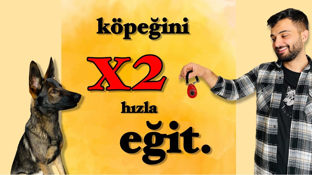 NASIL KÖPEĞİNİ CLİCKER İLE EĞİTE BİLİRSİN?🐶🐾