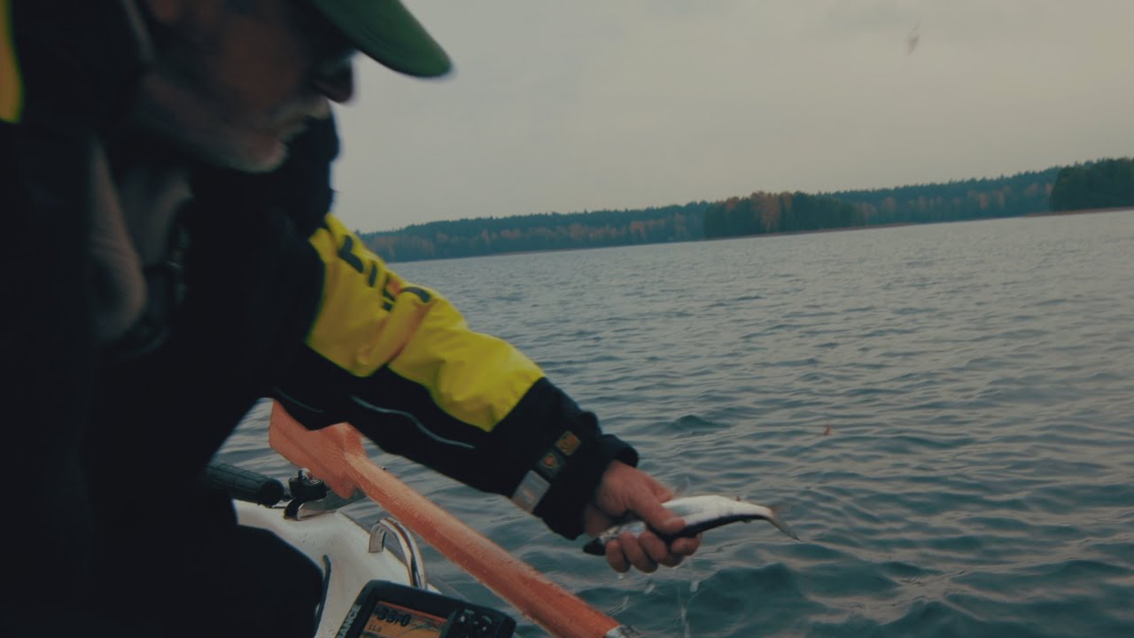 Ir kaip ta seliava traukime, Vytai? :-)