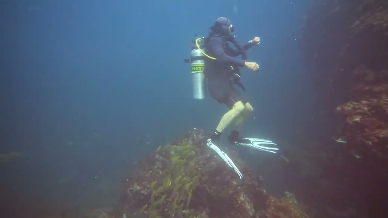 Richellieu Rock, Second Dive, Similan Islands Thailand 23.04.2024