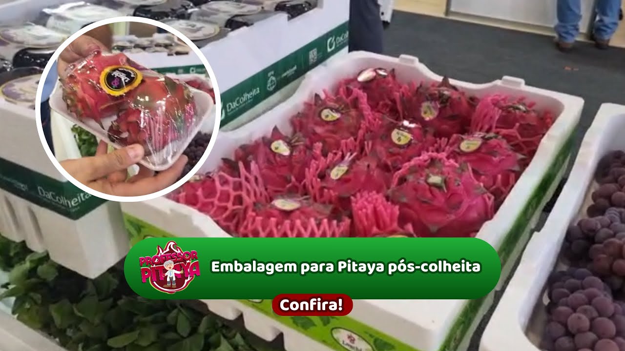 159) Embalagem para Pitaya pós-colheita